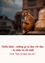 Thiền định - những gì ta làm với tâm - là chữa trị tốt nhất