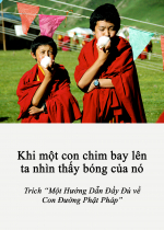 Khi một con chim bay lên ta nhìn thấy bóng của nó