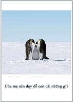 Cha mẹ nên dạy dỗ con cái những gì?