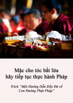 Mặc cho tóc bắt lửa hãy tiếp tục thực hành Pháp