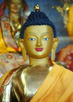 Nhưng trong thực tế ta chưa từng làm tổn hại ai cho dù chỉ một sợi tóc