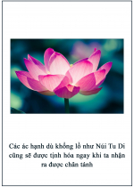 Các Ác Hạnh Dù Khổng Lồ Như Núi Tu Di Cũng Sẽ Được Tịnh Hóa Ngay Khi Ta Nhận Ra Được Chân Tánh