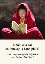Nhiều của cải có thực sự là hạnh phúc?