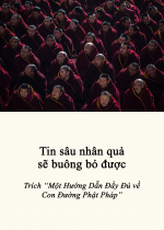 Tin sâu nhân quả sẽ buông bỏ được