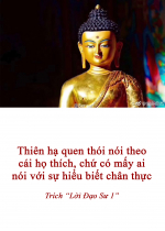 Thiên hạ quen thói nói theo cái họ thích, chứ có mấy ai nói với sự hiểu biết chân thực