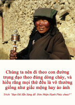 Chúng ta nên đi theo con đường trung đạo theo đúng dòng chảy, và hiểu rằng mọi thứ đều là vô thường giống như giấc mộng hay ảo ảnh