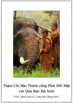 Thậm Chí Bậc Thánh cũng Phải Đối Mặt với Quả Báo Sát Sinh