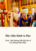 Hãy chân thành tu đạo