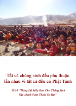 Tất cả chúng sinh đều phụ thuộc lẫn nhau vì tất cả đều có Phật tánh