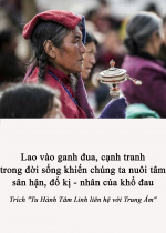 Lao vào ganh đua, cạnh tranh trong đời sống khiến chúng ta nuôi tâm sân hận, đố kị - nhân của khổ đau