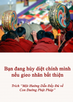 Bạn đang hủy diệt chính mình nếu gieo nhân bất thiện