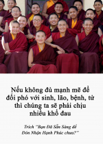 Nếu không đủ mạnh mẽ để đối phó với sinh, lão, bệnh, tử thì chúng ta sẽ phải chịu nhiều khổ đau