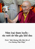 Năm loại tham luyến - rác rưởi dơ bẩn gây khổ đau