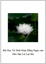 Bài Học Từ Sinh Hoạt Hằng Ngày