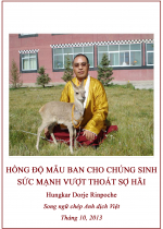Hồng Độ Mẫu Ban Cho Chúng Sinh Sức Mạnh Vượt Thoát Sợ Hãi