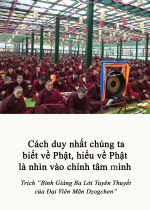 Cách duy nhất chúng ta biết về Phật, hiểu về Phật là nhìn vào chính tâm mình