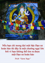 Nếu bạn chỉ mong đợi một bậc Đạo sư hoàn hảo thì đây là một chướng ngại lớn bởi vì bạn không thể tìm ra được một Đạo sư hoàn hảo