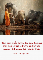 Tâm ham muốn hưởng thụ thịt, thân xác chúng sinh khác là không có tình yêu thương và đi ngược lại với giáo Pháp