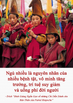 Ngủ nhiều là nguyên nhân của nhiều bệnh tật, vô minh tăng trưởng, trí tuệ suy giảm và uổng phí đời người