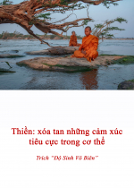 Thiền: Xóa Tan Những Cảm Xúc Tiêu Cực Trong Cơ Thể
