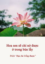 Hoa sen sẽ chỉ nở được ở trong bùn lầy 