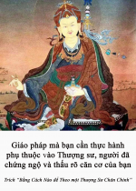 Giáo pháp mà bạn cần thực hành phụ thuộc vào Thượng sư, người đã chứng ngộ và thấu rõ căn cơ của bạn