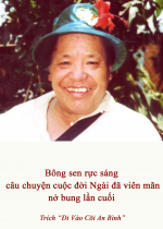 Bông sen rực sáng câu chuyện cuộc đời Ngài đã viên mãn nở bung lần cuối