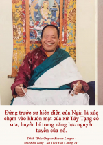 Đứng trước sự hiện diện của ngài là xúc chạm vào khuôn mặt của xứ Tây Tạng cổ xưa, huyền bí trong năng lực nguyên tuyền của nó