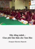 Hãy dũng mãnh - giao phó bản thân cho Tam Bảo