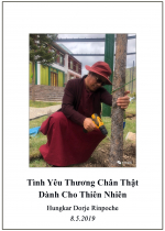 Phụng sự chúng sinh tức cúng dường chư Phật