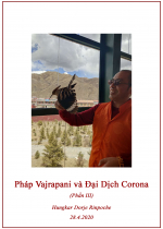 Pháp Vajrapani và Đại Dịch Corona (Phần III)