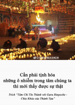 Cần phải tịnh hóa những ô nhiễm trong tâm chúng ta thì mới thấy được sự thật