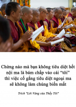 Chừng nào mà bạn không tiêu diệt hết nội ma là bám chấp vào cái “tôi” thì việc cố gắng tiêu diệt ngoại ma sẽ không làm chúng biến mất