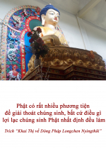  Phật có rất nhiều phương tiện để giải thoát chúng sinh, bất cứ điều gì lợi lạc chúng sinh Phật nhất định đều làm  