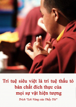 Trí tuệ siêu việt là trí tuệ thấu tỏ bản chất đích thực của mọi sự vật hiện tượng