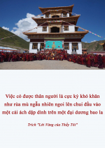 Việc có được thân người là cực kỳ khó khăn như rùa mù ngẫu nhiên ngoi lên chui đầu vào một cái ách dập dình trên một đại dương bao la