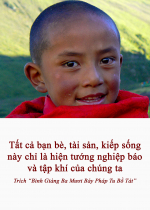 Tất cả bạn bè, tài sản, kiếp sống này chỉ là hiện tướng nghiệp báo và tập khí của chúng ta 