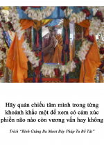 Hãy quán chiếu tâm mình trong từng khoảnh khắc một để xem có cảm xúc phiền não nào còn vương vấn hay không