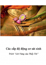 Các cấp độ động cơ sát sinh