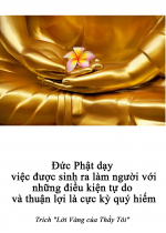 Đức Phật dạy việc được sinh ra làm người với những điều kiện tự do và thuận lợi là cực kỳ quý hiếm