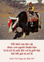 Nỗi khổ của thú vật được con người thuần hóa là bị nô lệ suốt đời và bị giết thịt khi hết giá trị nô lệ