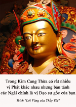 Trong Kim Cang Thừa có rất nhiều vị Phật khác nhau nhưng bản tánh các Ngài chính là vị Đạo sư gốc của bạn