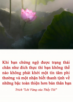 Khi bạn chứng ngộ được trạng thái chân như đích thực thì bạn không thể nào không phát khởi một tín tâm phi thường và một nhận biết thanh tịnh về những bậc toàn thiện hơn bản thân bạn