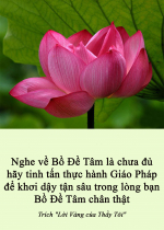 Nghe về Bồ Đề Tâm là chưa đủ hãy tinh tấn thực hành Giáo Pháp để khơi dậy tận sâu trong lòng bạn Bồ Đề Tâm chân thật