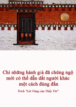 Chỉ những hành giả đã chứng ngộ mới có thể dẫn dắt người khác một cách đúng đắn