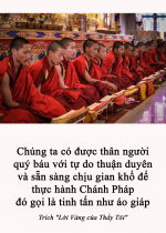 Chúng ta có được thân người quý báu với tự do thuận duyên và sẵn sàng chịu gian khổ để thực hành Chánh Pháp đó gọi là tinh tấn như áo giáp