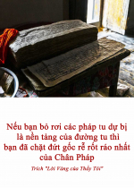 Nếu bạn bỏ rơi các pháp tu dự bị là nền tảng của đường tu thì bạn đã chặt đứt gốc rễ rốt ráo nhất của Chân Pháp