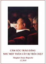 Phụng sự chúng sinh tức cúng dường chư Phật