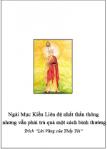 Ngài Mục Kiền Liên đệ nhất thần thông nhưng vẫn phải trả quả một cách bình thường 