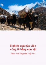 Nghiệp quả của việc cúng tế bằng con vật